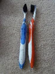 Old Toothbrushes: For these just see if you can find some old toothbrushes lying around the house, there s nothing too
