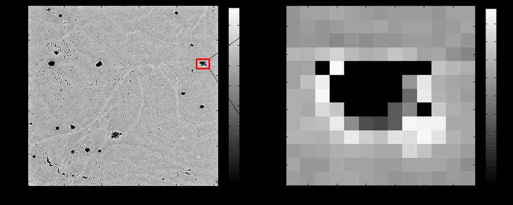 Figure 5 (a) Flood image of entire detector. (b) A region of 13 x 13 pixels selected from inhomogeneous region as marked in (a). Rings of pixels with higher photon counts are clearly observed. 4.