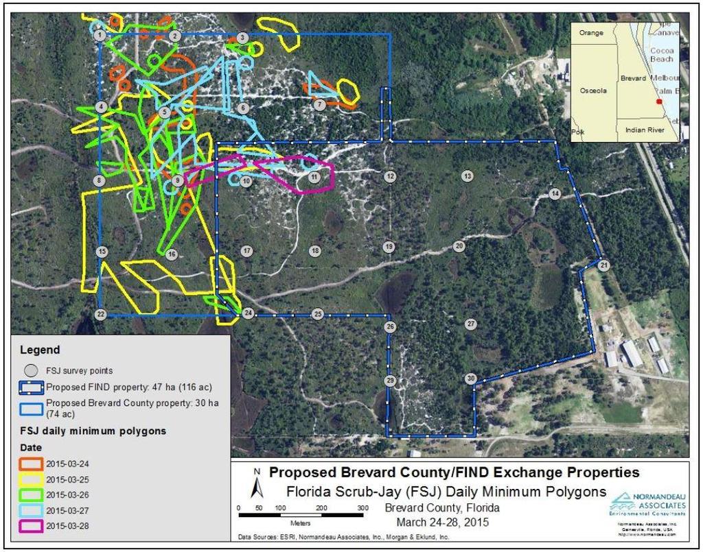 1.2 Site Florida Scrub-Jay Survey Background In March of 2015, a five-day scrub-jay survey was conducted on the BV-24A DMMA Site in conjunction with a survey on a Brevard County property to the north