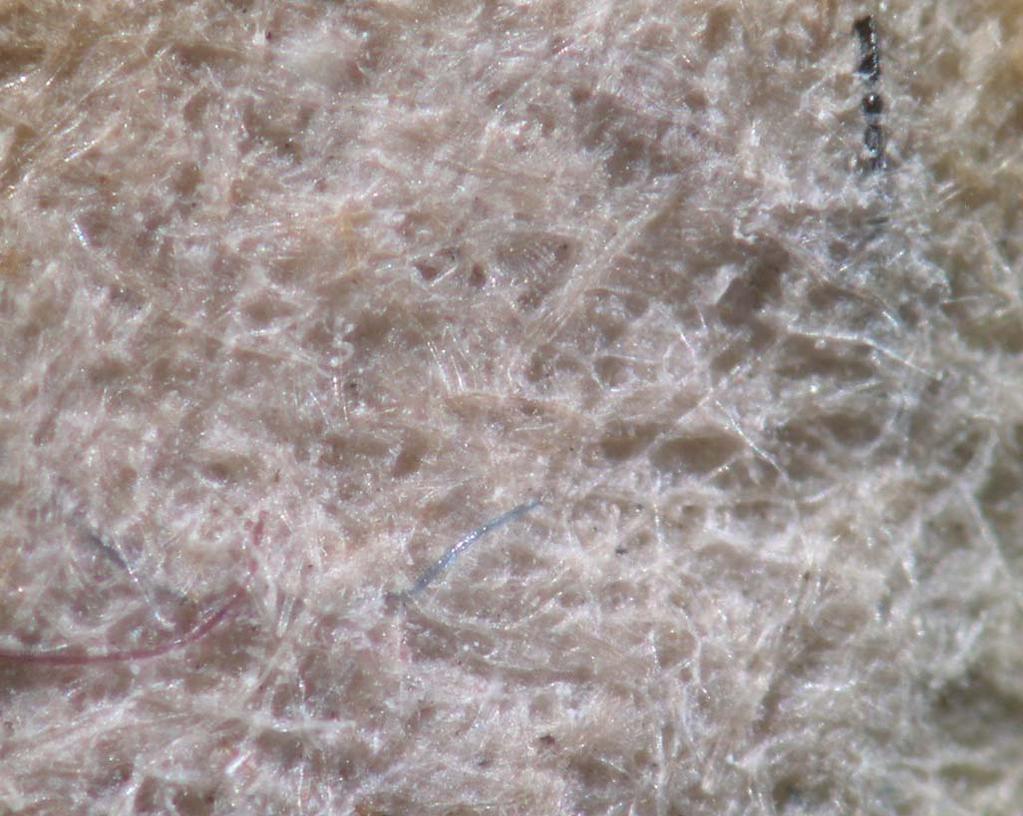 The painted surface is well adhered and in good condition, few individual fibres can be discerned at the torn edge. Manipulation of the sample generates a powdery residue.
