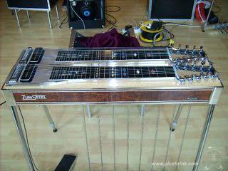 Pedal Steel & Lap Steel Electronics similar to a electric guitar Fixed bridge No frets, only fret lines