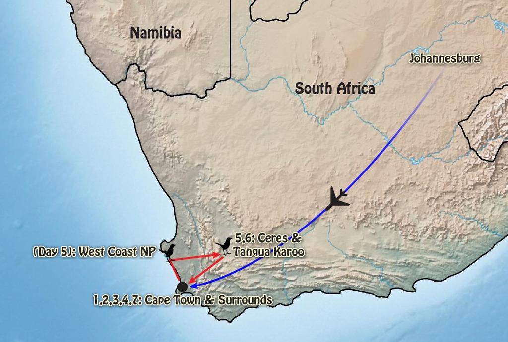 Itinerary (Summer) 2 THE TOUR AT A GLANCE THE ITINERARY Drive from Kruger National Park to Johannesburg, fly to Cape Town & Day 1 overnight Day 2 Day 3 Day 4 Day 5 Day 6 Day 7 Pelagic Seabird outing