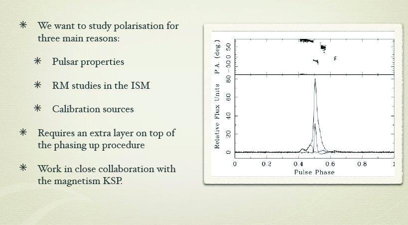 Pulsar Observations with LOFAR Many pulsars show strong polarization