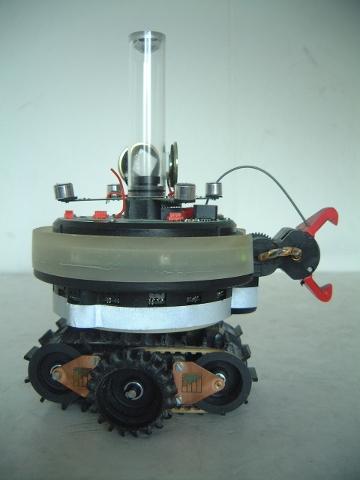 (see Fig. 2.1c). The camera is mounted on the s-bot and points upward at a hemi-spherical mirror mounted at the top end of a transparent tube.