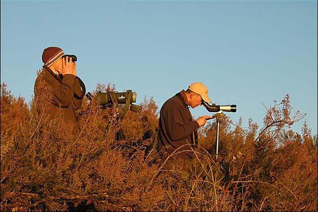 Wolves & Bustards in Rural Spain Naturetrek Tour Report Compilation March 2007 Summary The wolf watching trip has become so popular that it departed on four occasions this month and we were joined by