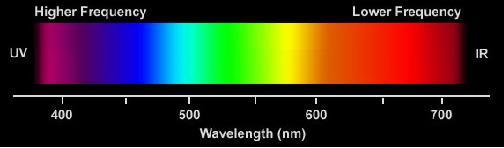 COLOR VISION Human visual system perceives the range of light wave frequencies as a smoothly varying rainbow of colors This range of light frequencies is the visual
