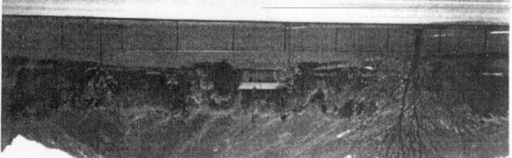 Figure 7: Photograph of portion of site. Photograph was taken from across the road at approximately the center of the SAR image with the camera aimed to the right toward the house.