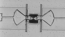 Au SiO 2 Al Figure 1: Optical micrograph of a microstripline-coupled HEBM. The arrow represents 31 μm. Left and right of the dark (Nb) square, the antenna slots in the ground plane are visible.