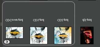Note: Adobe Bridge stacks are different from Photoshop image stacks, which convert groups of images to layers and store them in a Smart Object.