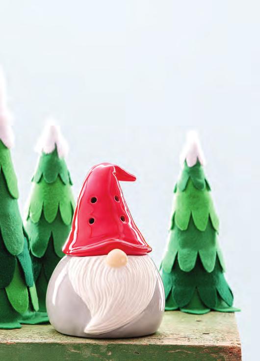 GET INTO CHARACTER GNOME FOR THE HOLIDAYS