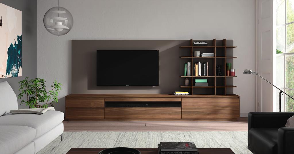 LIVING AREA WALL UNIT: