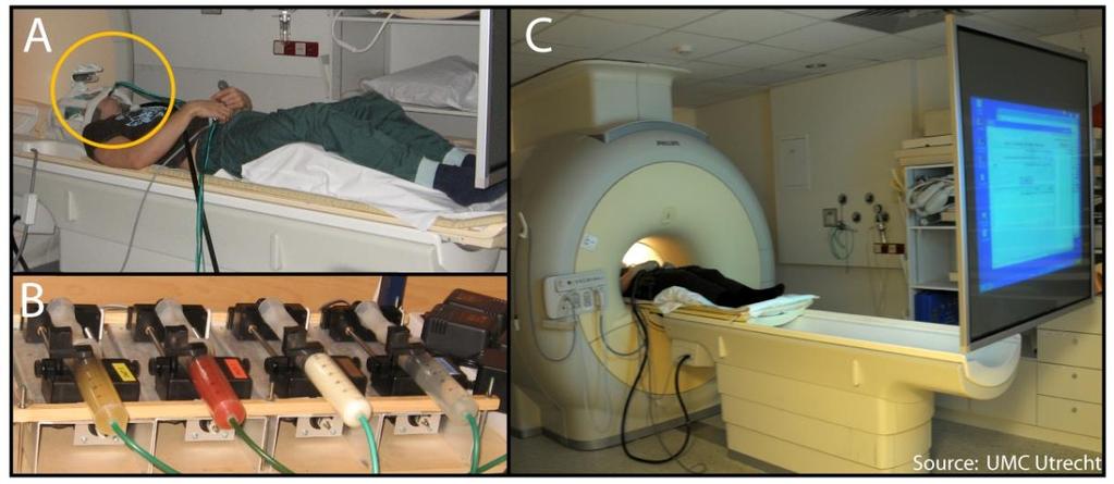 fmri studies Which factors can