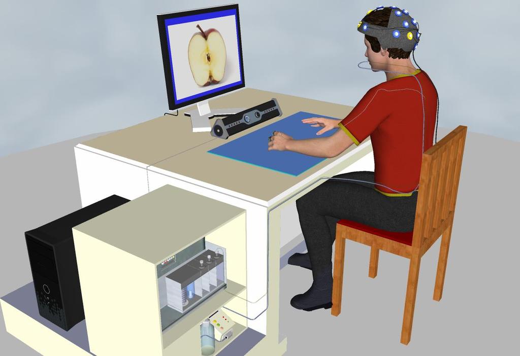 Food Experience Simulator design Translation of fmri findings to stimulus delivery and response measurement system (Food