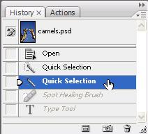 If a tool has a small arrow in the lower right corner, it has more than one option. Click and hold on the tool, slide over to the option you wish to use, and release the mouse.