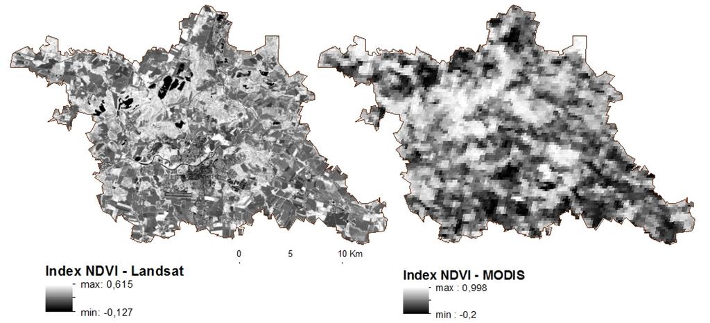Figure 1: NDVI results from images of Landsat 8 and MODIS Terra The resulting values of all vegetation indices are displayed in grey.