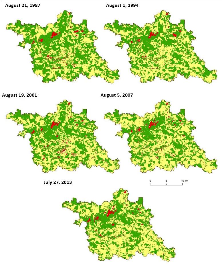 Figure 4: Temporal analysis of the classified MSAVI index The time series of the ORP Pardubice region for the GVI index differ significantly from the NDVI, SAVI and MSAVI indices.