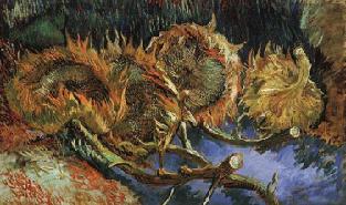 Interestingly Vincent painted two series of paintings of the sunflowers.