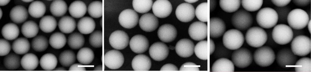 Figure S3. FESEM images of PDA@SiO 2 nanoparticles with 204 nm, 231 nm and 275 nm from left to right and the insert scale bar is 200 nm. S4.