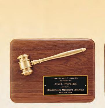 Parliament Series GAVEL PLAQUES IN AMERICAN