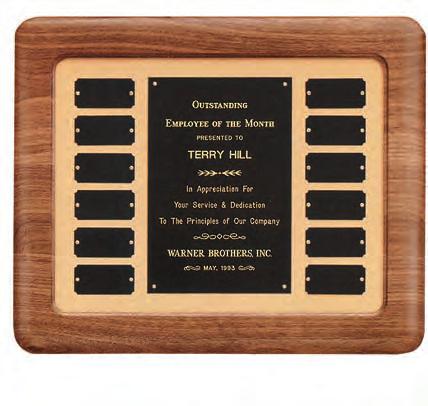 Perpetual Series Airflyte Frame, Tan Velour Background with 12 Individual Plates Airflyte