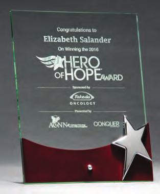 375 INCH THICK GLASS SILKSCREENED BLACK, PACKAGING AS SHOWN ON PG 60 Free Standing Glass Award with High Gloss