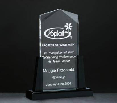Acrylic Awards Constellation Series Etched Star with Gold Paint-Fill and Mirrored Bottom Octagon Series