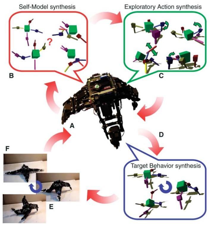 Self-modeling robot (Cornell U.