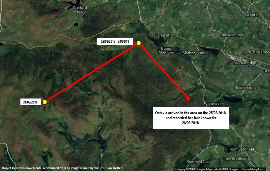 Figure 7 On the 12 th November the RSPB reported that Octavia s sibling Arthur (named after Sir Arthur Hobhouse who proposed the National Parks Legislation Act) has become the 10 th satellite tagged