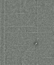 Radiometric Quality Image Artifacts Left: grey level jumps ;