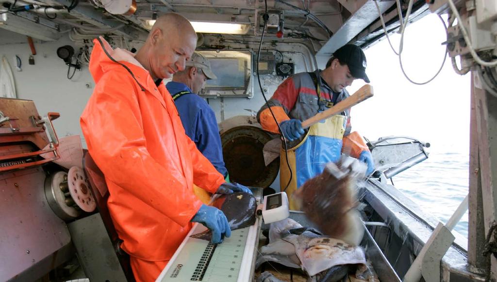 20 21 Fcts on the tble Astri Sivertsen Alf Oxem (photos) The Norwegin Institute of Mrine Reserch (IMR) used six vessels in the Norwegin Se this summer to seek nswers to key question re fish strtled