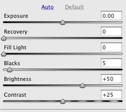 Step 5: Tonal adjustments Exposure slider sets the brightest points in the image Blacks slider sets the darkest points in the image Just like Levels in Photoshop Click Auto to auto balance or Default