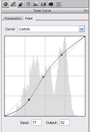 Using the Tone Curve Editing the tone curve gives you the same flexibility as Curves in the normal Photoshop space.