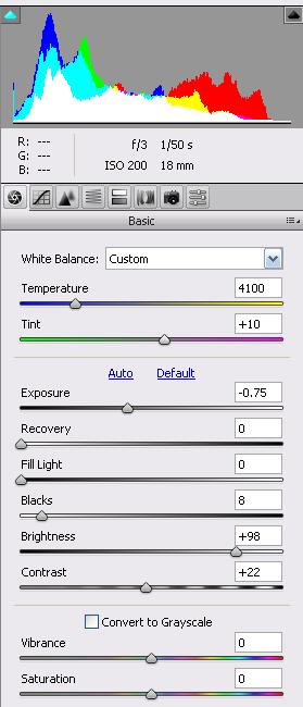 Step 6: Saturation & Vibrance These two commands allow for the increase or reduction of colour within the image.