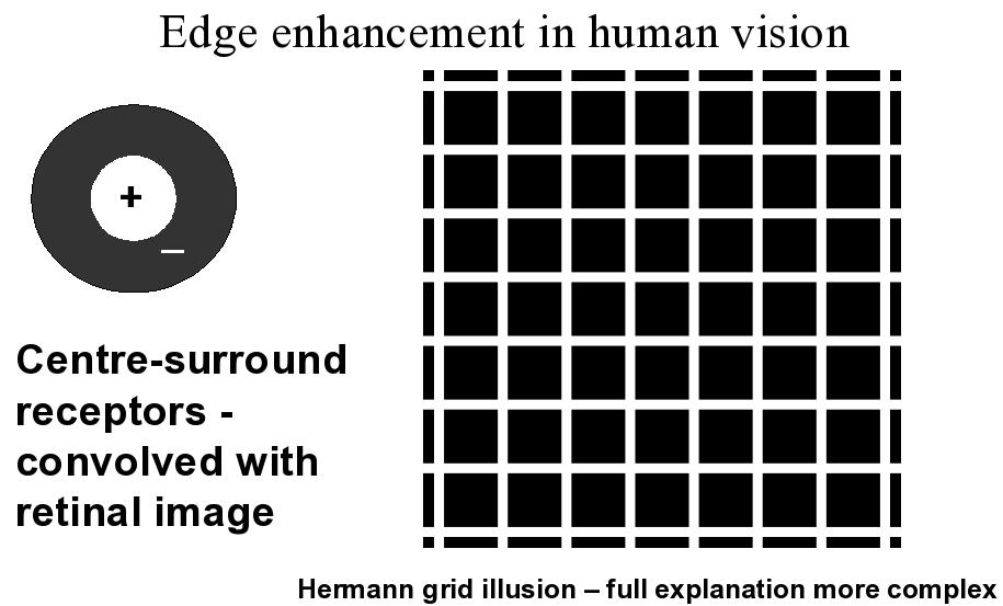 Convolution Explains Illusions IVR Vision: