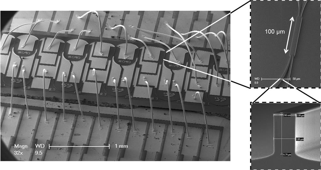 NORBERG et al.: PROGRAMMABLE PHOTONIC MICROWAVE FILTERS 1615 Fig. 3. Scanning electron microscopy (SEM) image of a programmable photonic filter device wire bonded to a carrier.