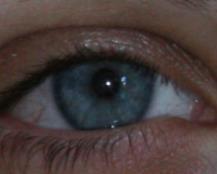 eyelashes, (7) Iris obstructions due to glasses, (8) Iris