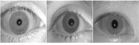 Bath iris database consists of 32,000 high quality iris images, captured from 800 mixed ethnic subjects (1600 classes, for left and right eye) with a pixel resolution of 1280 960.