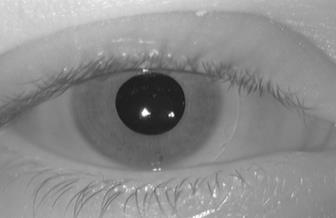 The images are not appropriate for the evaluation of unconstrained iris recognition systems. 2.5. WVU IRIS DATABASE (c) Figure 14.