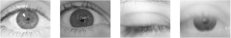 Visible Iris 43.65 % 52.86 % 3.49 % Reflection Focus Visible Iris Second Session 69.70 % 19.39 % 10.91 % 22.27 % 69.09 % 8.64 % 24.09 % 38.64 % 37.27 % (c) (d) 2.8. UBIRIS V2 DATABASE (e) (f) (g) (h) Figure18.