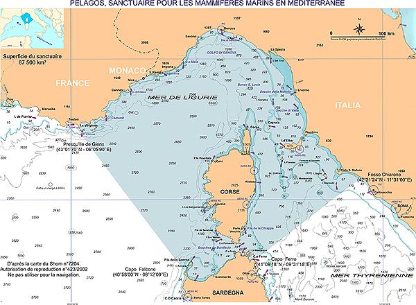 6 PELAGOS: An international marine mammal sanctuary in the North-Western Mediterranean Sea 6.