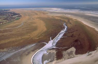 8 The Wadden Sea The conservation and management is hence directed towards maintaining and achieving the full scale of habitats, which belong to a natural and dynamic Wadden Sea by working towards