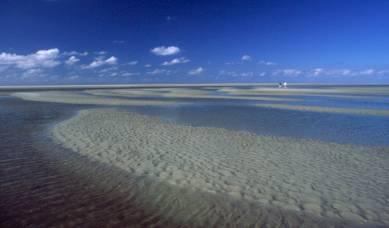 8 The Wadden Sea 7 Conclusions - Lessons Learnt Looking back at a generation of Wadden Sea protection it seems justified to conclude that the entire approach in terms of conservation and management