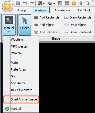 How to Use the Image Studio Software Small Animal Image Analysis - Page 7 The analysis will be applied to the image using settings from the most recent Small Animal Image analysis in your Work Area.