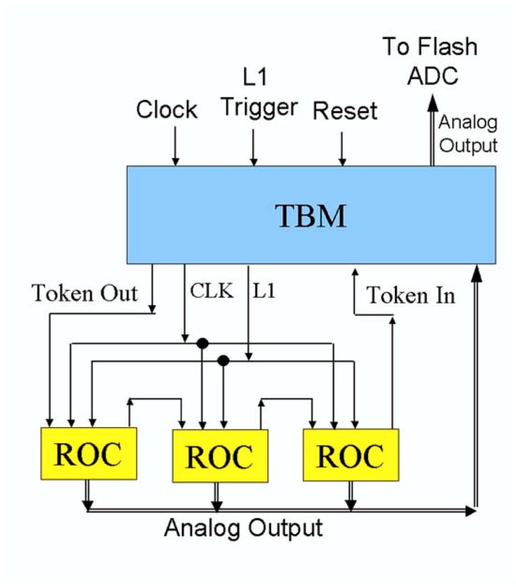 Token Bit Manager (TBM) Controls groups of 8 to 24 Readout Chips Distributes triggers and clocks.