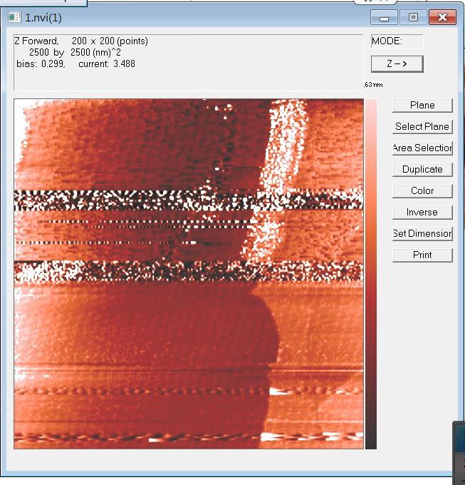 Nanovie STM Lepto Real-time tip restoration The noises or blurry images may indicate the tip is damaged. Replacing the tip result in the missing of the current scan area.