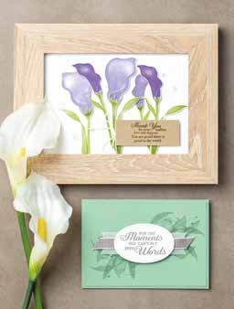 50 Whisper White 100730 $9.75 CLASSIC STAMPIN PADS AC p. 185 187 Daffodil Delight 147094 $7.50 Old Olive 147090 $7.