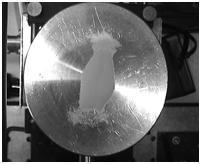 A microphone was employed to find the exact resonance frequency on the plate produced by the horn. Crystal beads (106 μm diameter) were distributed onto the plate.