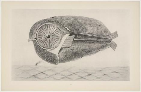 Max Ernst The Fugitive, 1926 One from a portfolio of thirty-four collotypes, after frottage, composition: 10 1/4 x