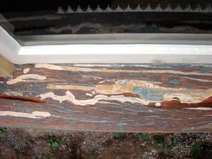 Remark: Damage (often cracks) in wood with finger joints and/ laminated wood Repair larger cracks.