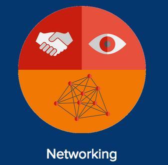 Actions for networking: A1: Setting-up of an instrument for networking A2: Strengthening the potential of the
